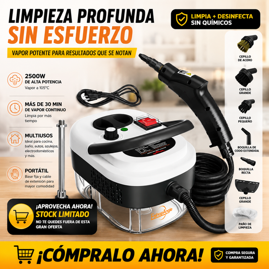 Limpiador A Vapor Presion 2500w Portatil